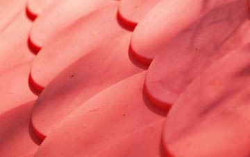 Thuxton plastic roof costs