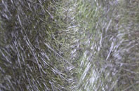 Thuxton fibreglass roof work