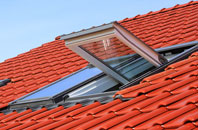 Thuxton roof window